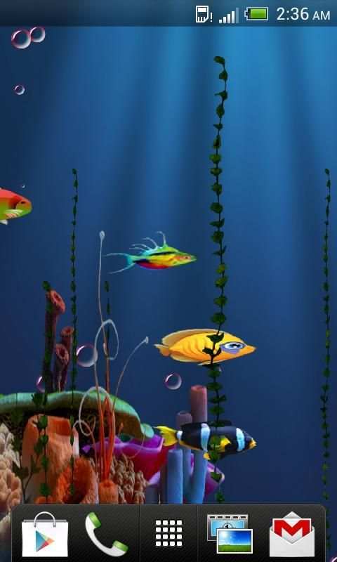 Live Fish Feed Wallpaper स्क्रीनशॉट 3