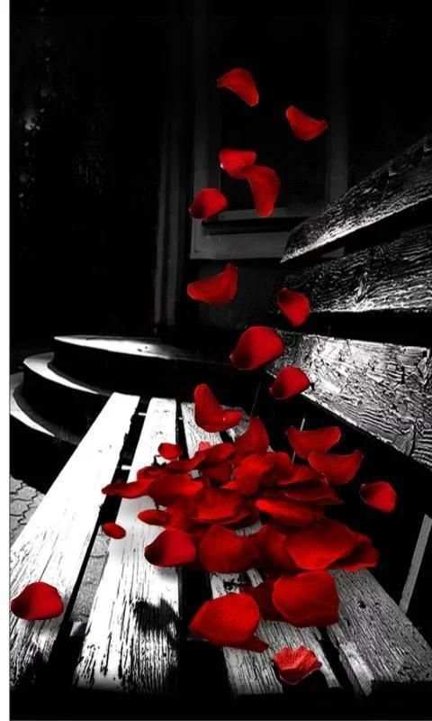 Red Rose Petals Live Wallpaper screenshot 5