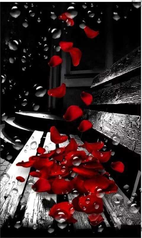 Red Rose Petals Live Wallpaper screenshot 4