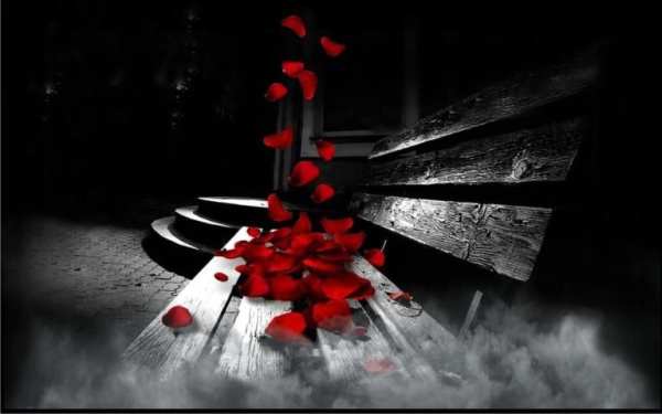 Red Rose Petals Live Wallpaper screenshot 2