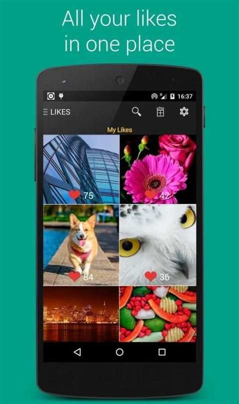 Premium Wallpapers HD screenshot 10