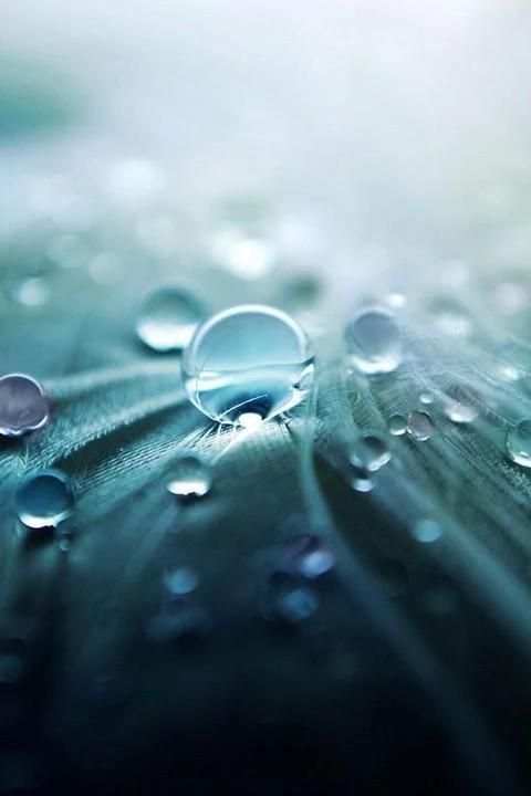 Water Drop Wallpaper HD screenshot 5