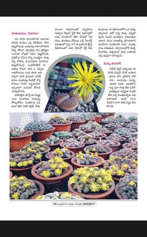 Andhra Bhoomi Weekly स्क्रीनशॉट 6