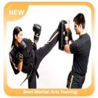 Best Martial Arts Training