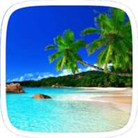 Beach HD Wallpaper Theme