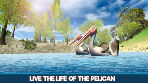 Pelican Bird Simulator 3D screenshot 4