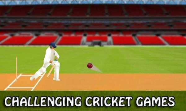Cricket Game T20 2017 Free screenshot 6