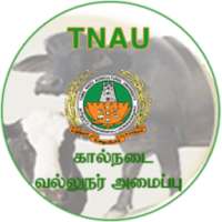 Cattle Expert System Tamil