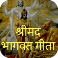 ikon Shrimad Bhagwat Geeta with meaning in Hindi