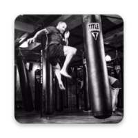 Martial Arts Techniques MMA