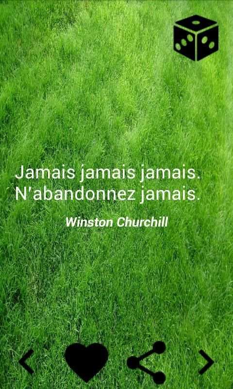 Citations motivation скриншот 3