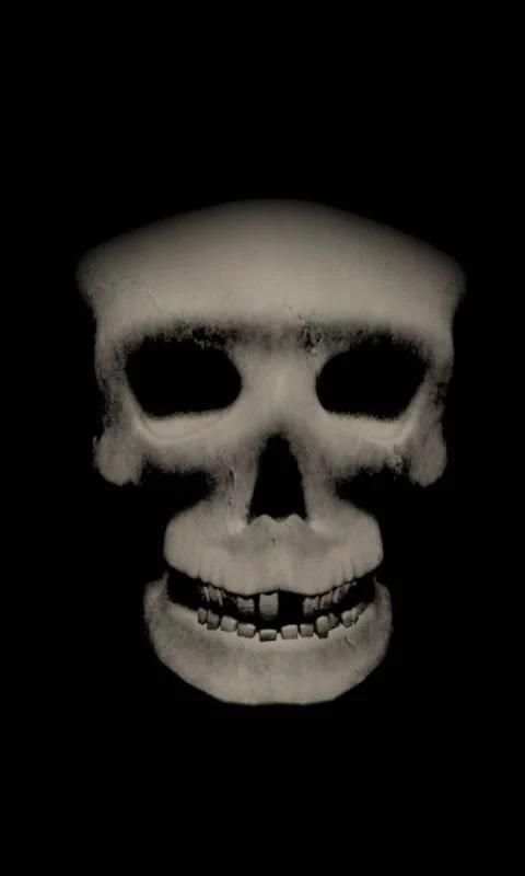 Zombie skull free lwp screenshot 2