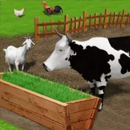 Livestock Fodder Growing Farm : Grow & Feed Cattle