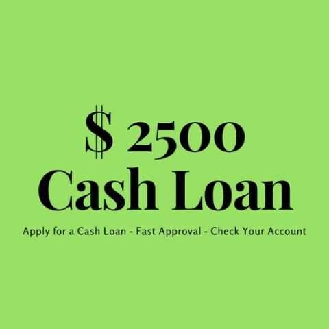 $ 2500 Cash Loan screenshot 2
