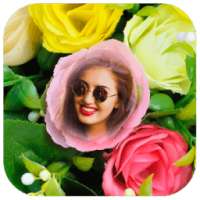 Rose Photo Frames HD