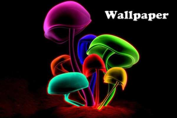 Mushroom Live Wallpaper 6 تصوير الشاشة