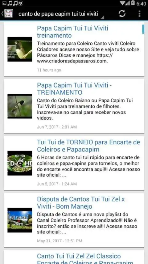 PAPA CAPIM TUI TUI PURO - TREINAMENTO