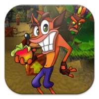Crash Adventure Jungle Run