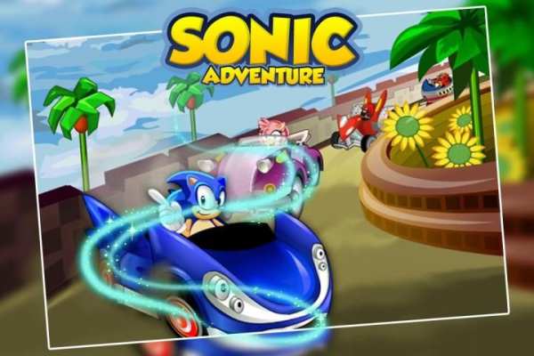 Sonic Speed Car Racing Adventures screenshot 3