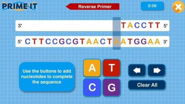 Prime It DNA Game screenshot 8