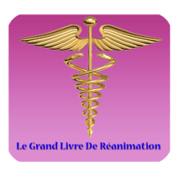 Le Grand Livre De Réanimation icon