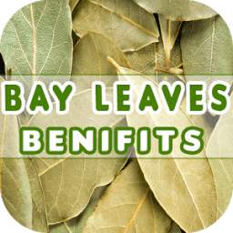 Bay Leaves Benefits