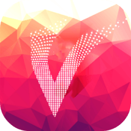 VipMate иконка