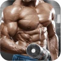 6 Pack Workouts - Home Workout Lose Weight on 9Apps