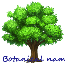 Botanical Names आइकन