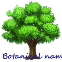 Botanical Names