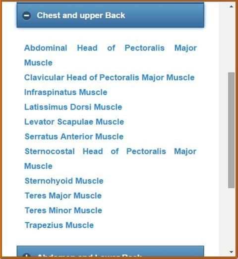 Muscular System(Anatomy) скриншот 6