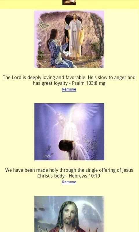 Bible Quotes & Pictures скриншот 3