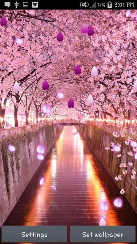Sakura Live Wallpaper स्क्रीनशॉट 8