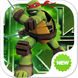 Ninja Fight -Turtle Shadow icon
