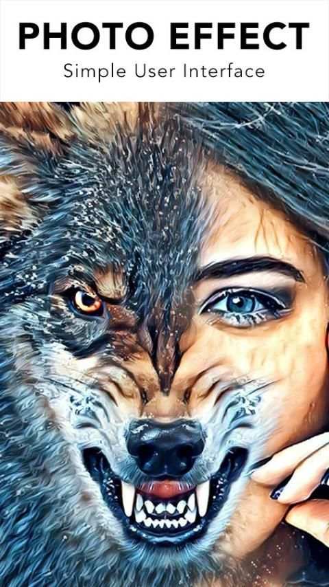 Photo Lab 2017 скриншот 1