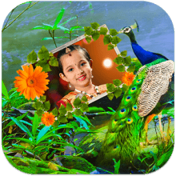 Peacock Photo Frames HD icon