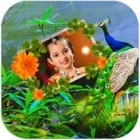 Peacock Photo Frames HD on 9Apps