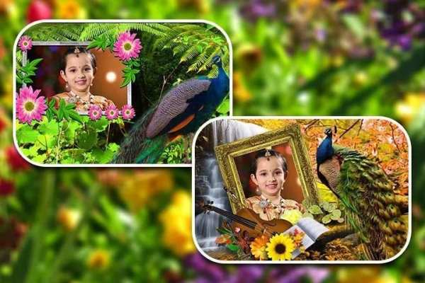 Peacock Photo Frames HD 5 تصوير الشاشة