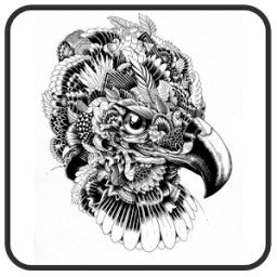 Creative Drawings Ideas иконка