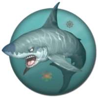 Shark Wallpaper Live