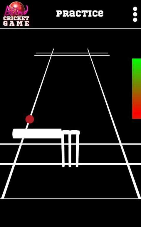 Blind Cricket स्क्रीनशॉट 6