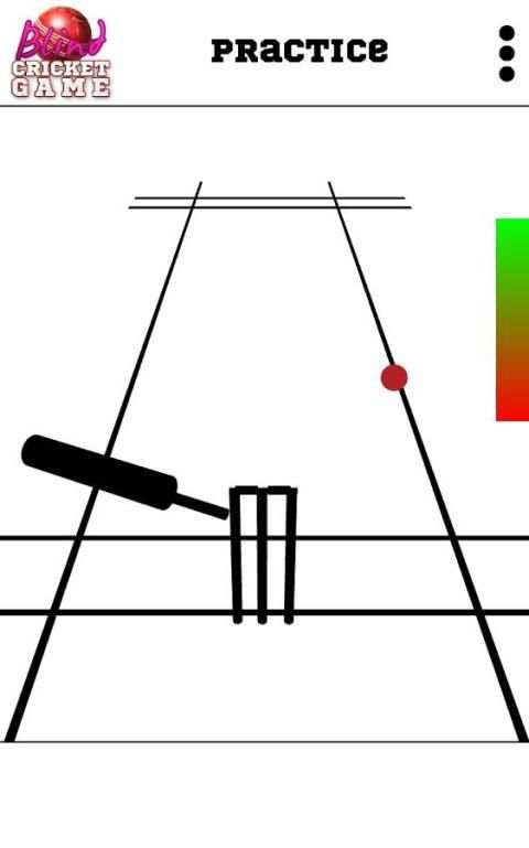 Blind Cricket स्क्रीनशॉट 7