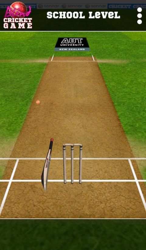 Blind Cricket स्क्रीनशॉट 4
