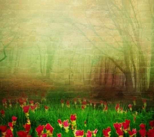 Photo Frame Animation LWP screenshot 2