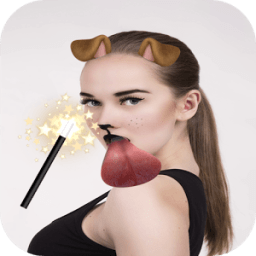 Snap Face Changer icon