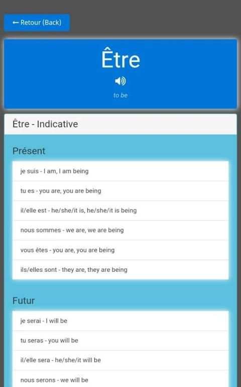 100 French Verbs Lite screenshot 3