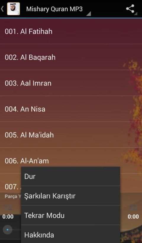 İnternetsiz Kuran-ı Kerim screenshot 2
