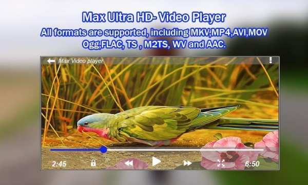 Audio Video Player 3 تصوير الشاشة