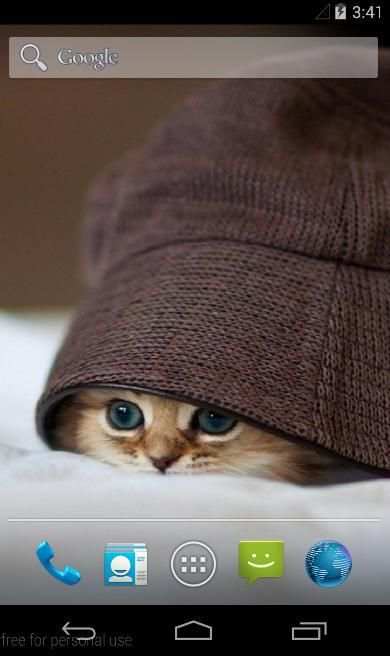Cute Cat Wallpaper HD 5 تصوير الشاشة