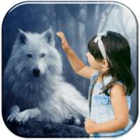 Wolf Photo Editor